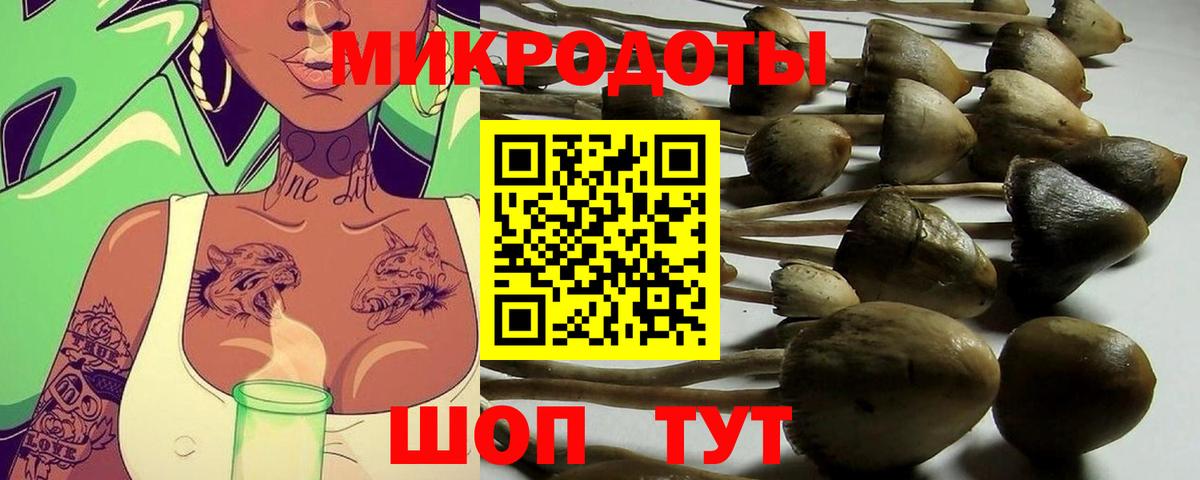 Галлюциногенные грибы MAGIC MUSHROOMS  Вход с VPN  Кушва  купить наркотики цена  Галлюциногенные грибы GOLDEN TEACHER 