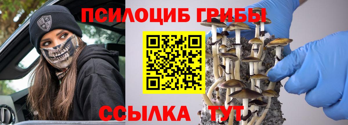 Галлюциногенные грибы Psilocybine cubensis Кушва